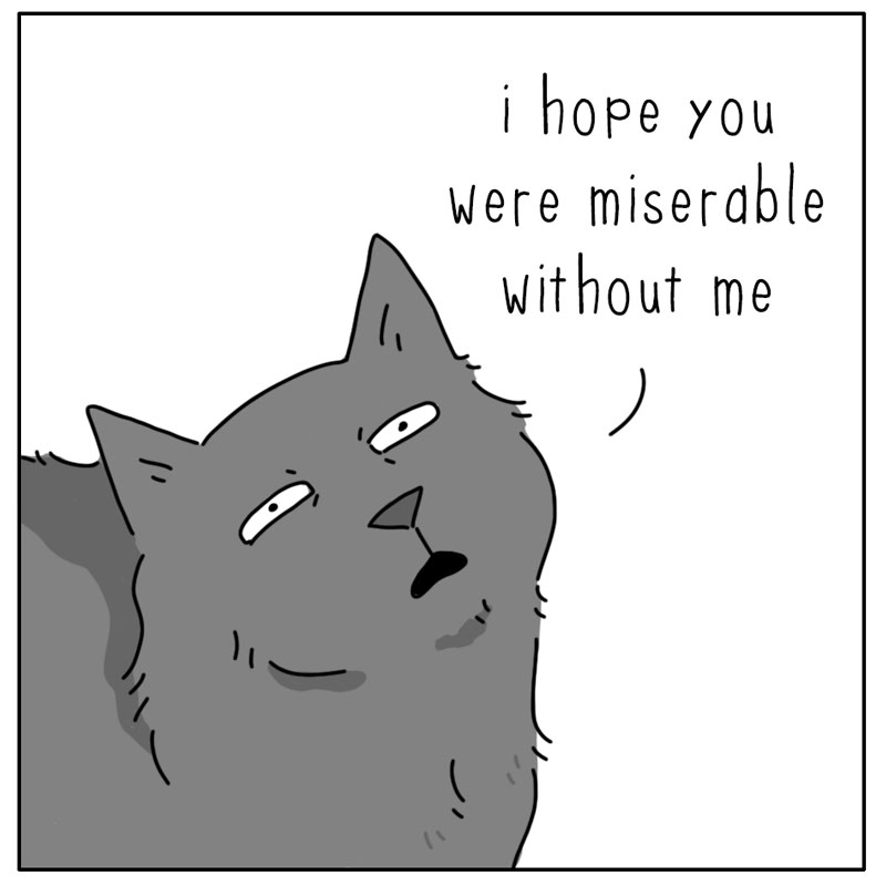 https://cdn.tinyview.com/they-can-talk/2026/10/18/home/cat_miserable3.jpg