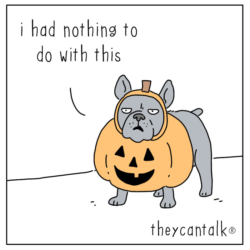 https://cdn.tinyview.com/they-can-talk/2026/10/24/costumes/dog_halloweenpumpkin3.jpg