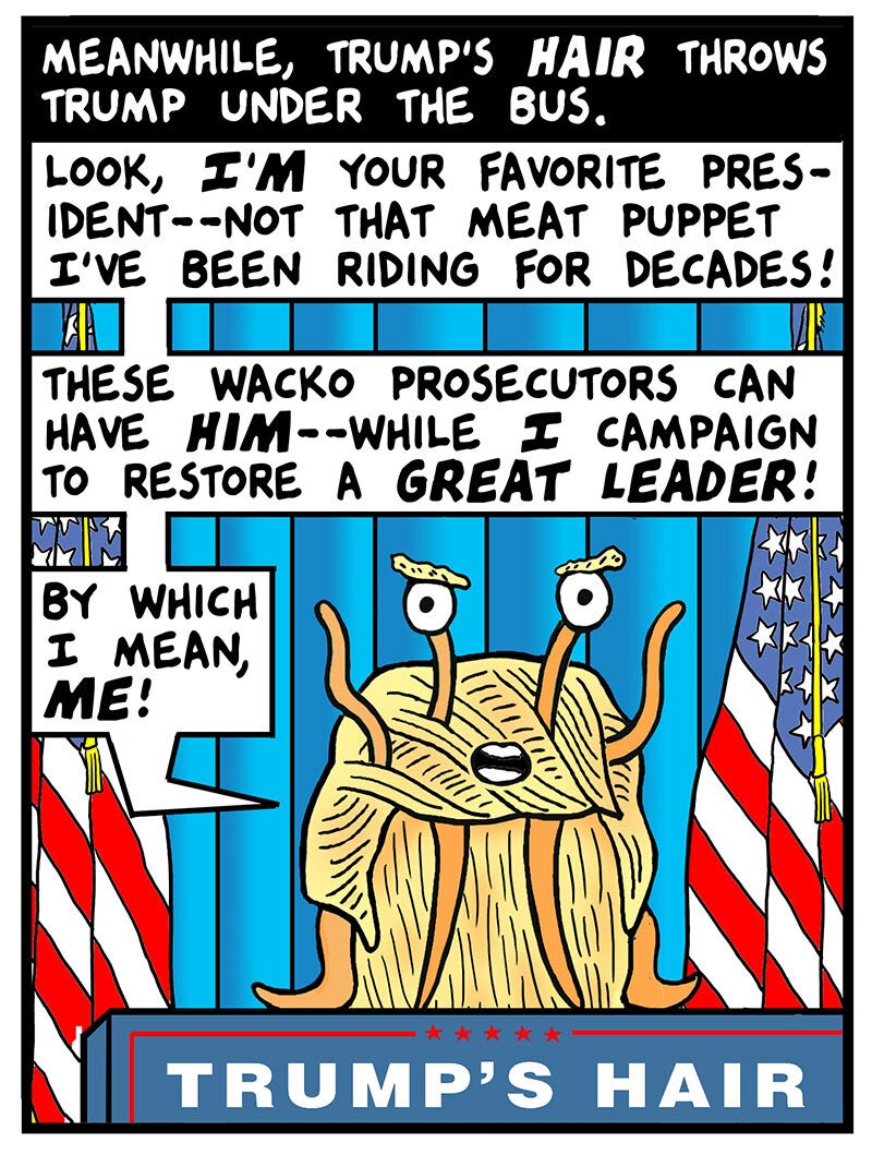 https://cdn.tinyview.com/this-modern-world/2023/08/31/a-hair-raising-situation/TMW2023-08-21-03.jpg