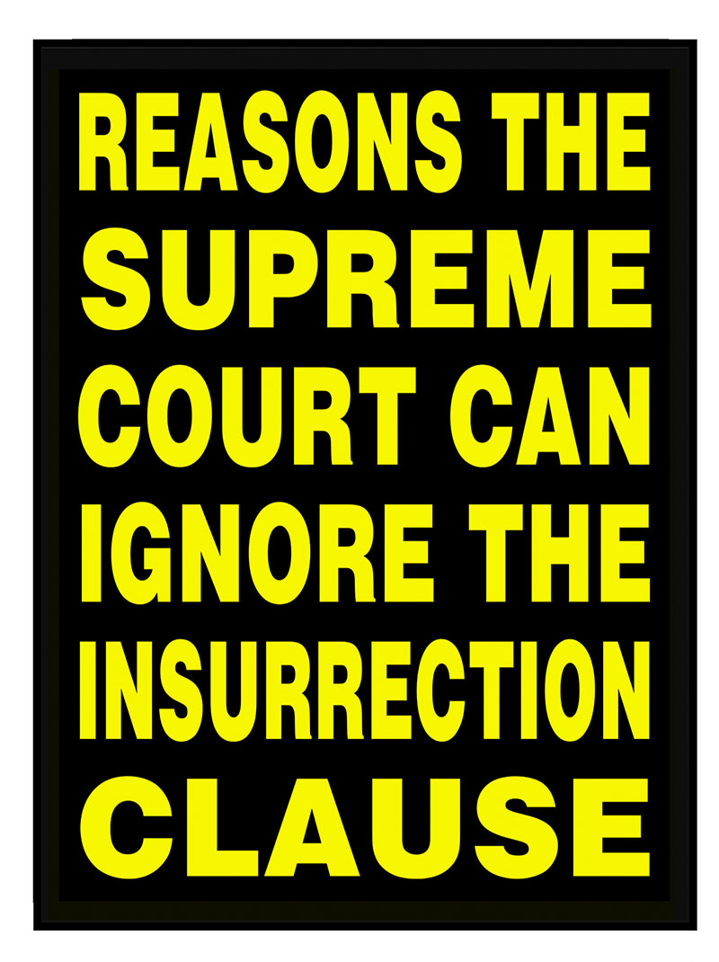 https://cdn.tinyview.com/this-modern-world/2024/01/16/the-insurrection-clause/TMW2024-01-15color1.jpg