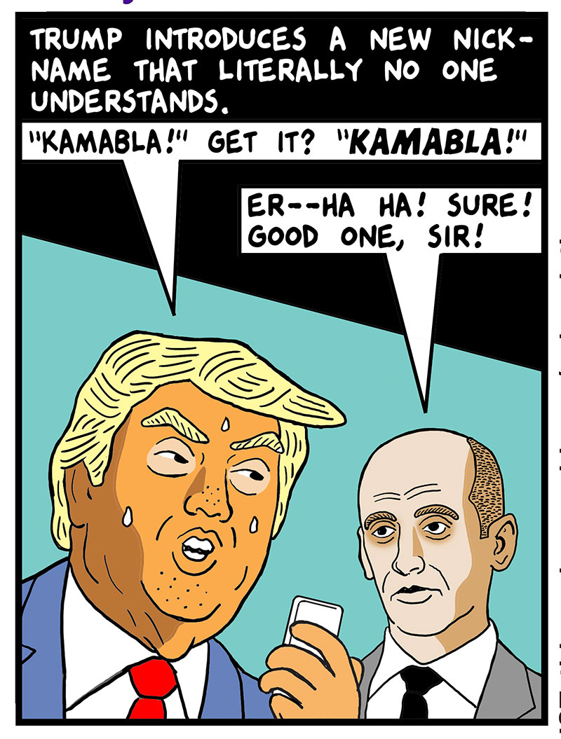 https://cdn.tinyview.com/this-modern-world/2024/08/13/the-week-in-weird/TMW2024-08-12color3.jpg